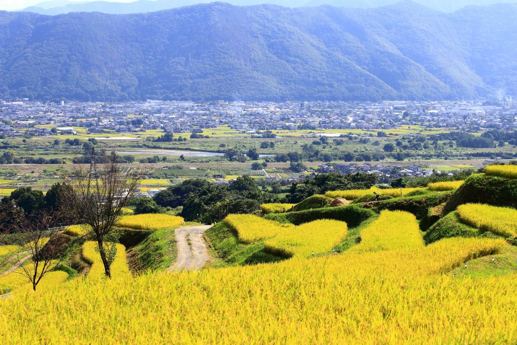 Nagano